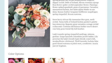 Sürükle ve Bırak Web Sitesi Oluşturucu Script